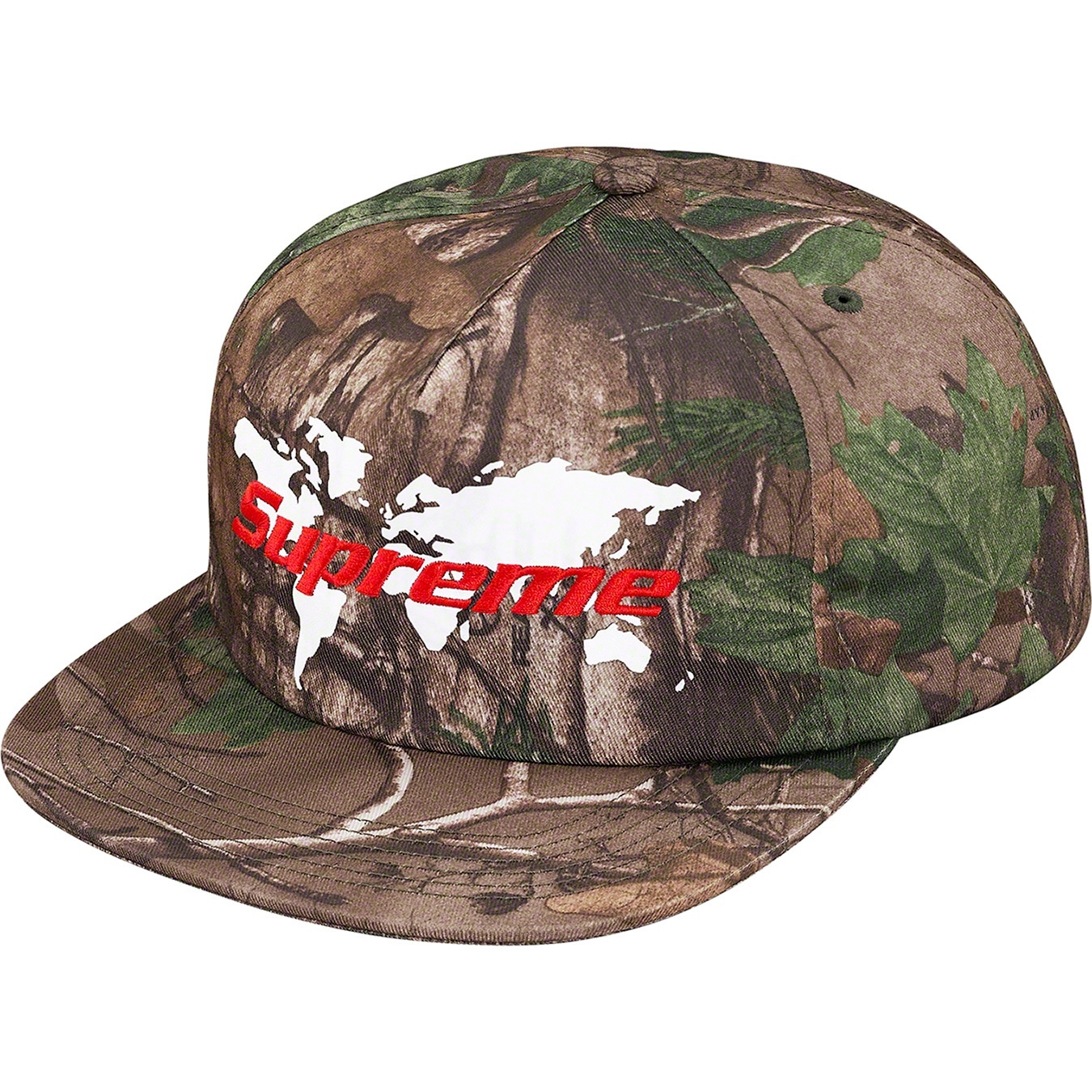 World 5-Panel view 3
